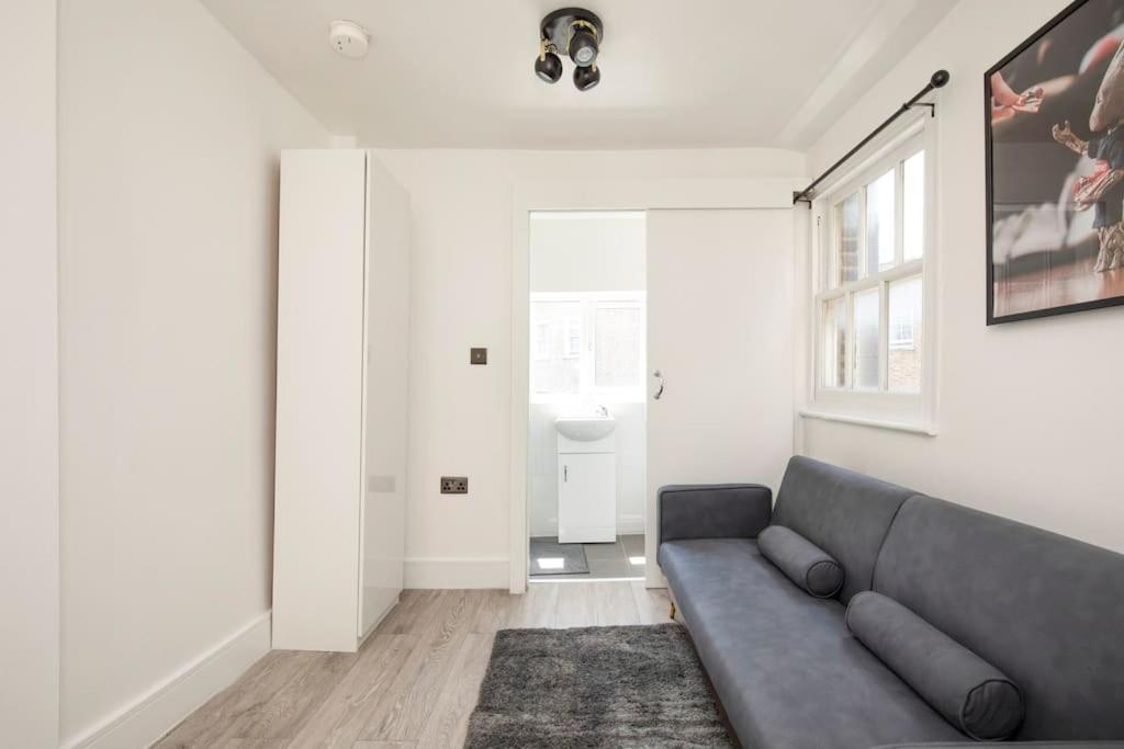 Spacious Serenity In The Heart Of Central Londra Esterno foto